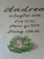 /album/galleria-foto-fiocchi-e-quadretti-nascita/fiocco-5-jpg/